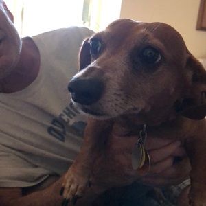 Meet your Posher, Nancy